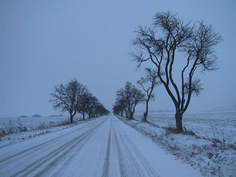 Road from Jakubovany